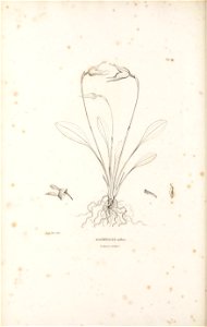 n609_w1150