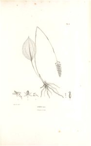 n558_w1150