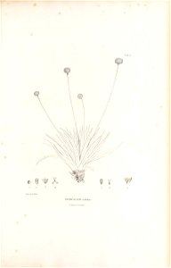 n462_w1150