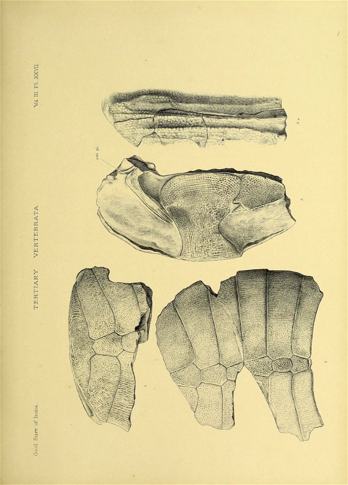 n404_w1150