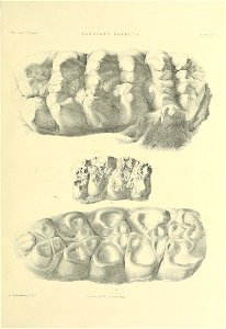 n554_w1150