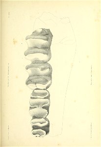 n494_w1150