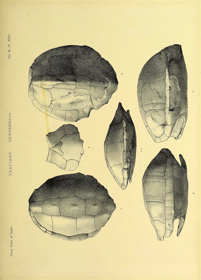 n392_w1150