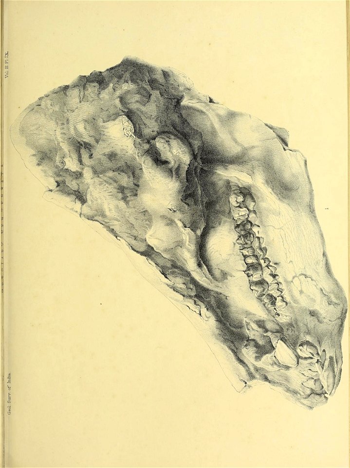 n332_w1150