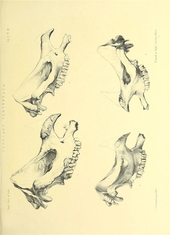 n434_w1150