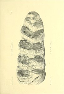 n546_w1150