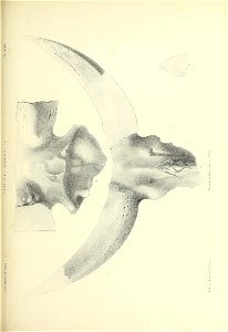 n424_w1150