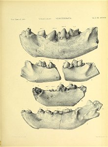 n554_w1150