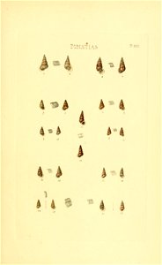 n294_w1150