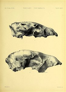 n544_w1150