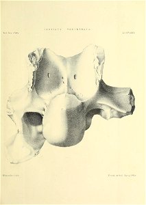 n484_w1150