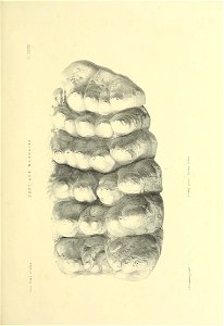n534_w1150