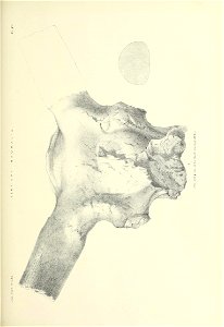 n412_w1150