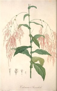n59_w1150
