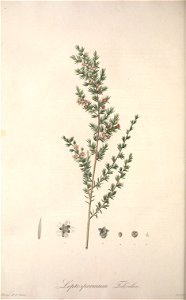 n119_w1150