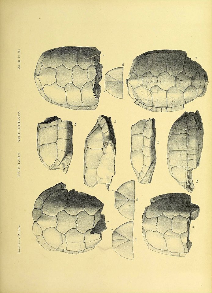 n376_w1150