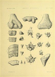 n436_w1150