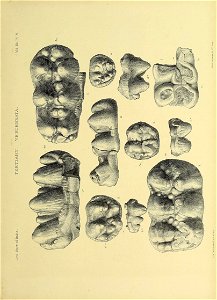 n316_w1150