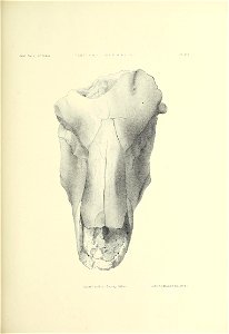 n408_w1150