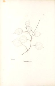 n143_w1150