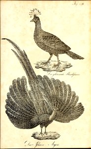 n620_w1150