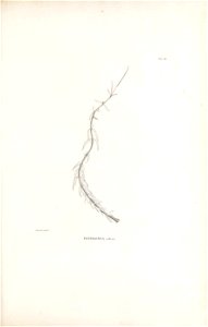 n168_w1150