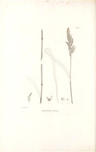 n219_w1150