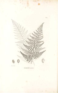 n103_w1150