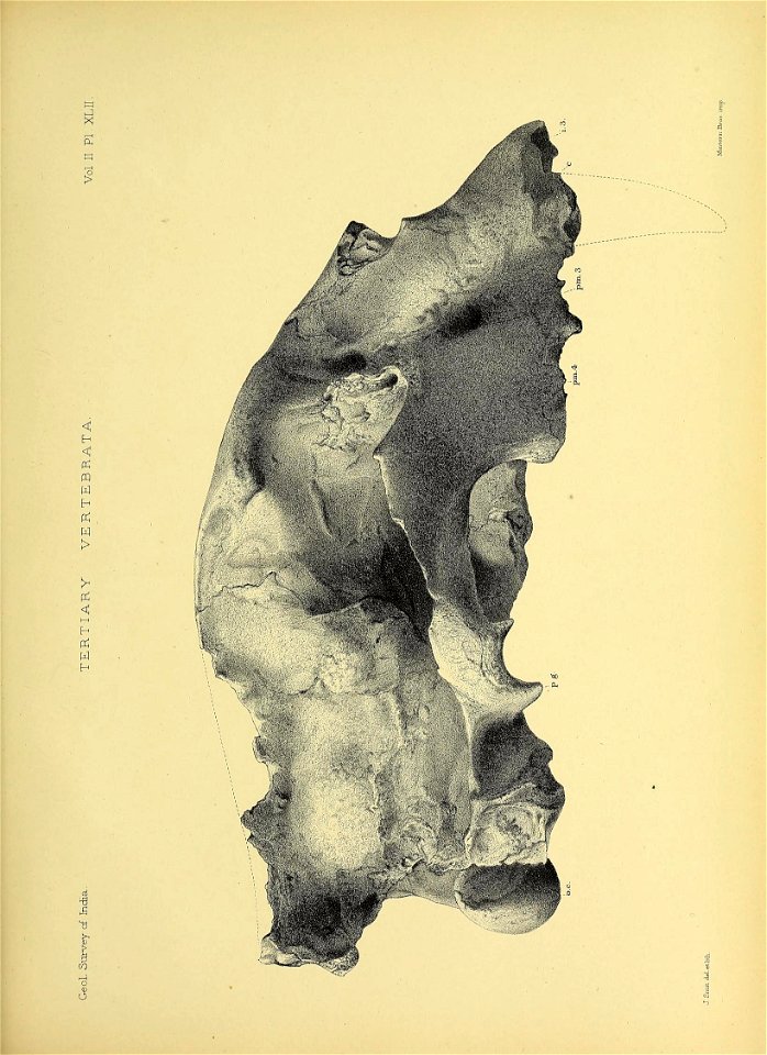 n570_w1150