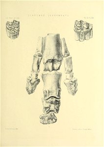n446_w1150