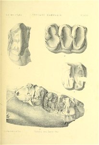 n498_w1150