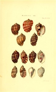 n194_w1150