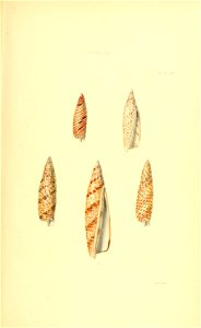 n146_w1150