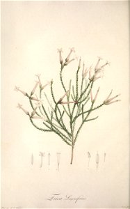 n141_w1150