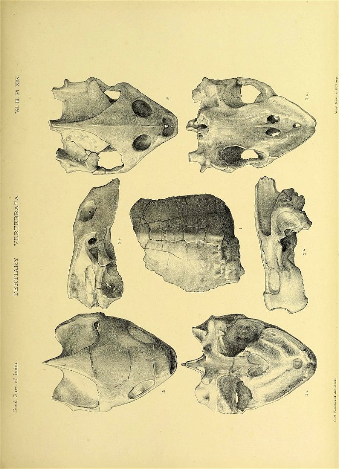 n396_w1150