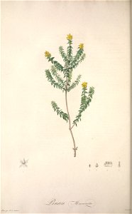 n115_w1150