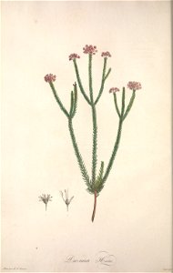 n55_w1150