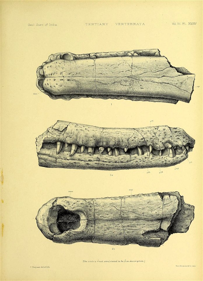 n432_w1150
