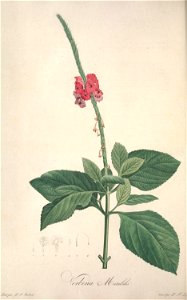 n153_w1150