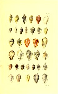 n158_w1150