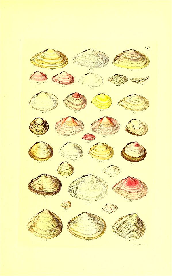 n128_w1150