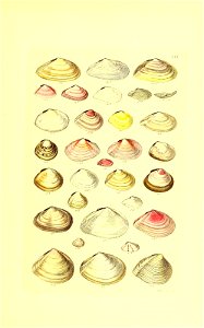 n128_w1150