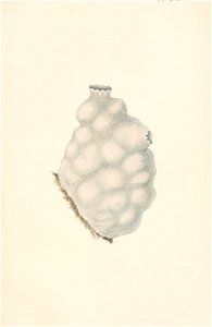 n172_w1150