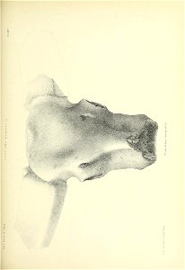 n428_w1150