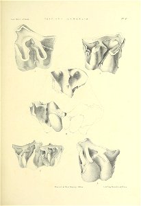 n366_w1150