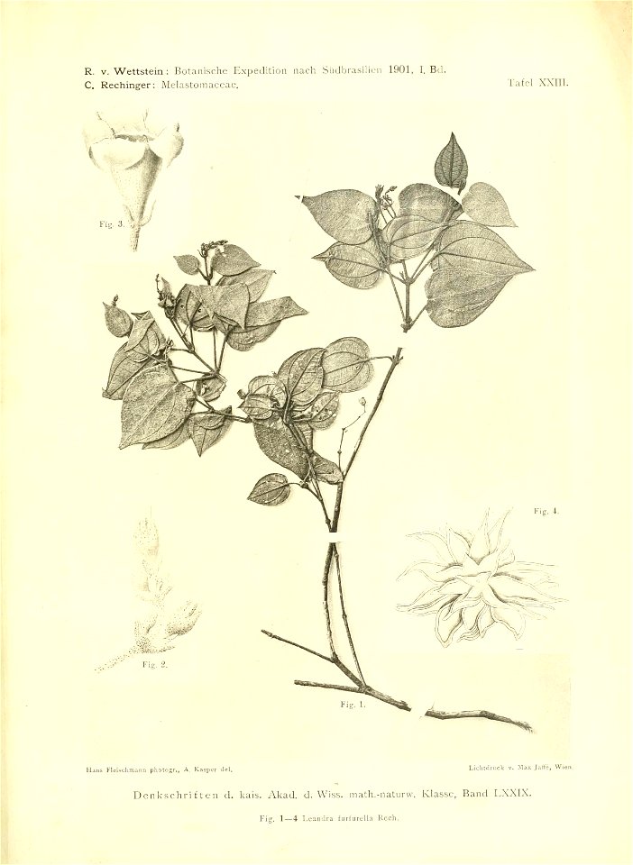 n410_w1150