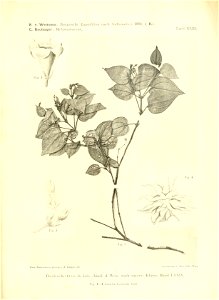 n410_w1150