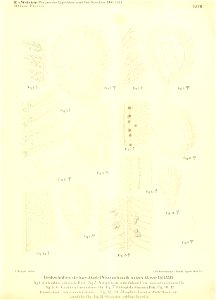 n350_w1150