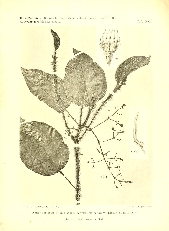 n406_w1150
