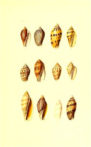 n116_w1150